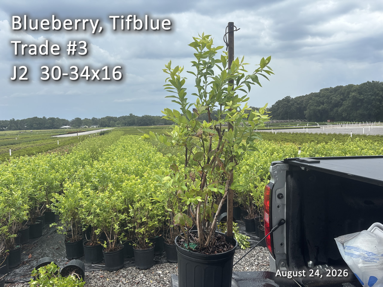 gallery/btb3t j2 aug24.jpg